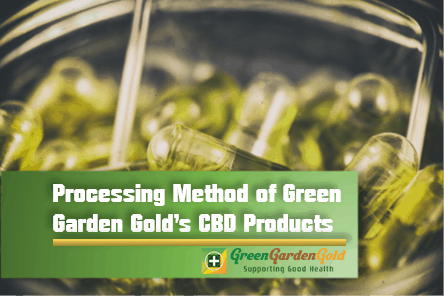 Processing Method Of Green Garden Gold’s CBD Products