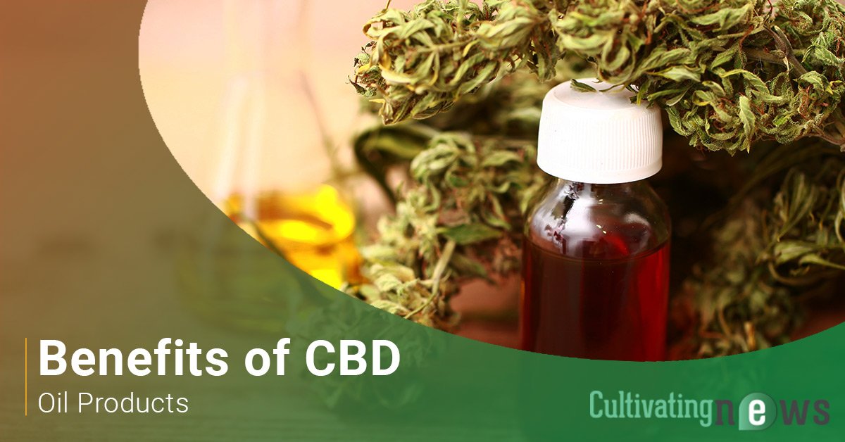 Benefits of CBD Oil Products