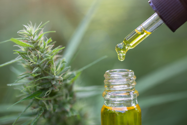 Unlocking the Healing Power of CBD Oil: A Natural Solution for Wellness