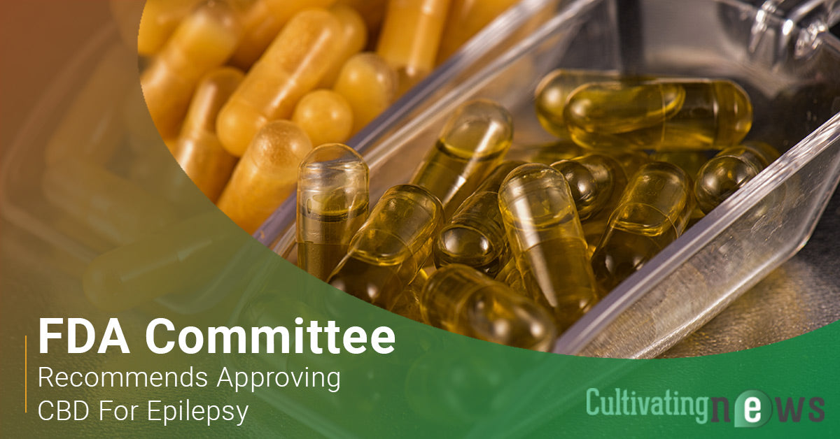 FDA Committee Recommends Approving CBD For Epilepsy