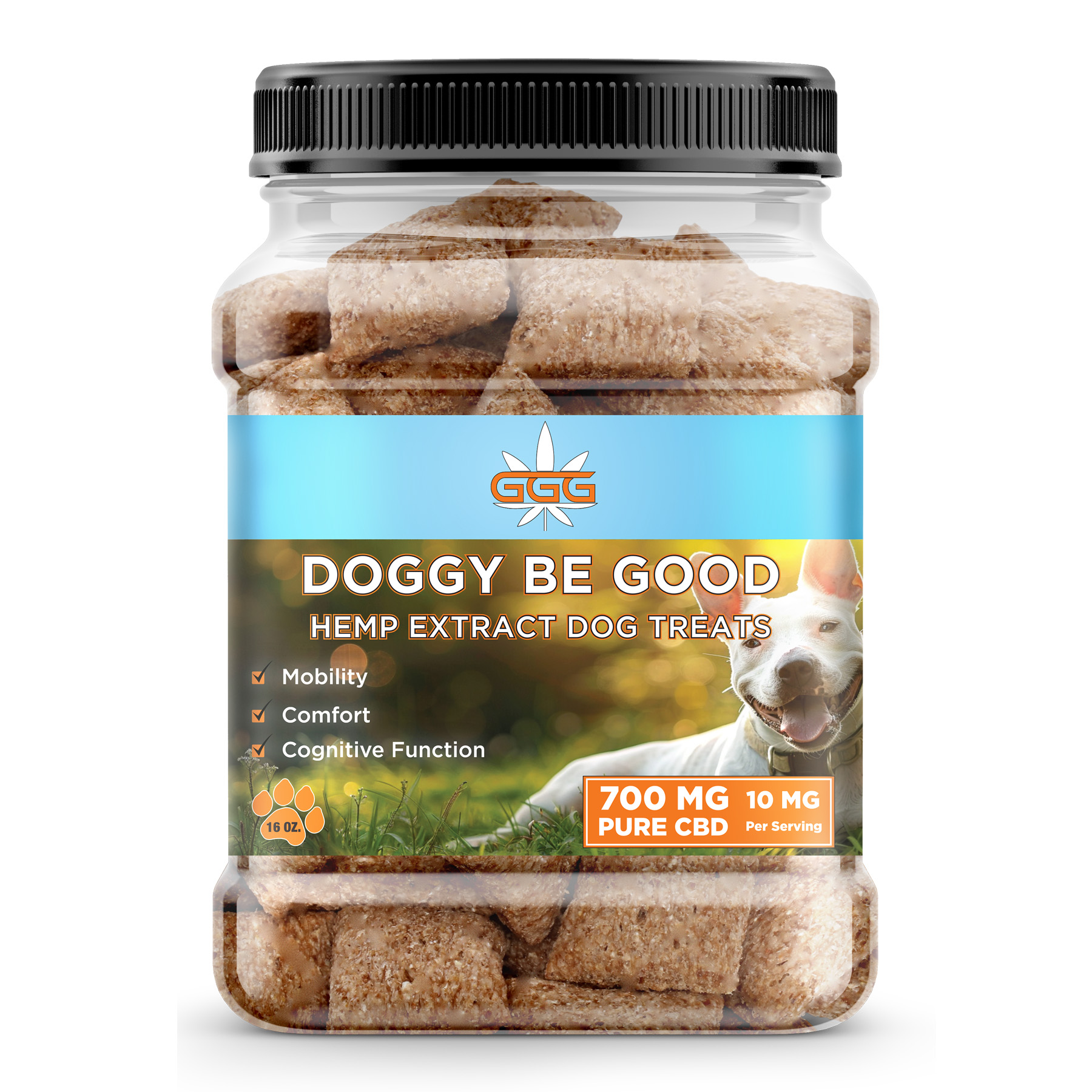 CBD Dog Treats, CBD for Pets, USA Today Pumpkin, CBD Oil For Dogs, CBD Oil For Pets, Pet health, dog health, Dog healthcare